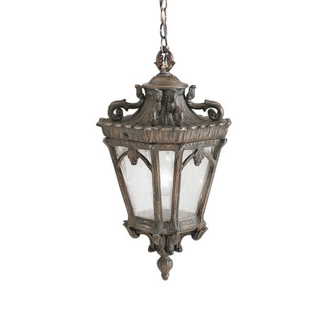 Tournai 1 Light Medium Chain Lantern - Comet Lighting