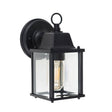 Allgreave Black and Glass Outdoor Wall Light - Comet Lighting