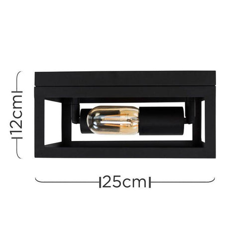 Pisces Two Way Matt Black Metal Ceiling Light Fitting - Comet Lighting