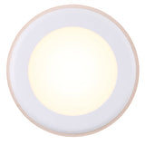 Elkton 14 | Downlight | White - Comet Lighting