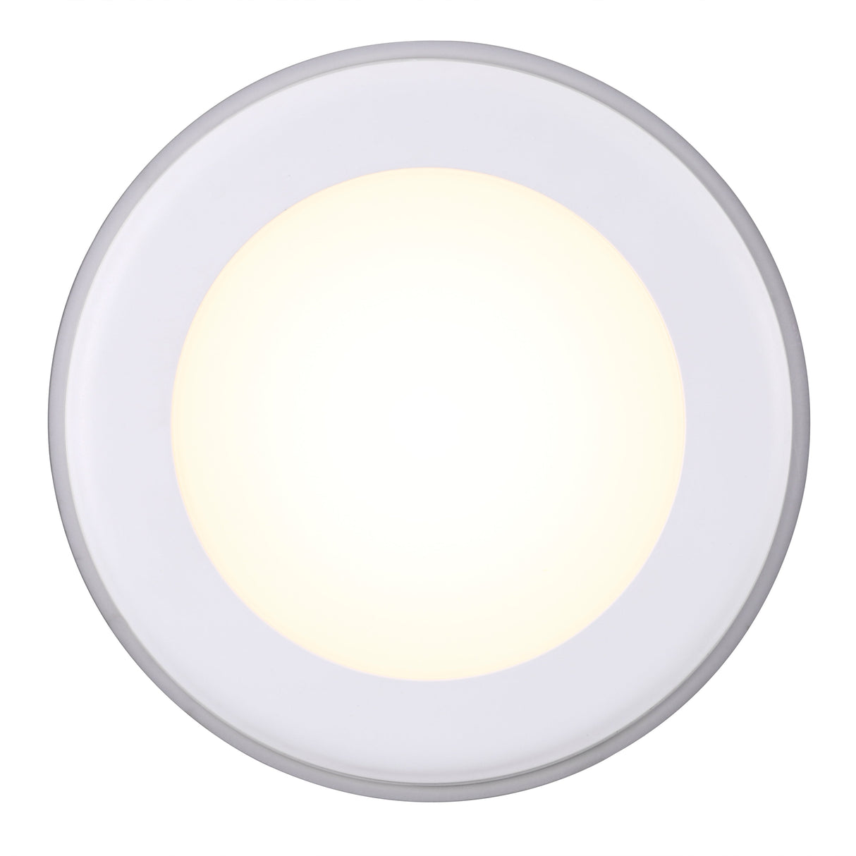 Elkton 14 | Downlight | White - Comet Lighting