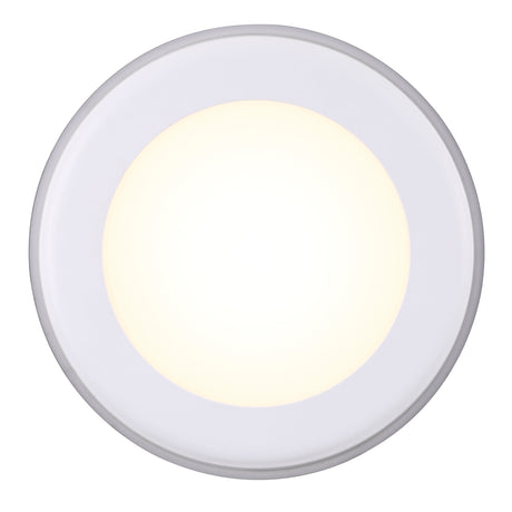 Elkton 14 | Downlight | White - Comet Lighting