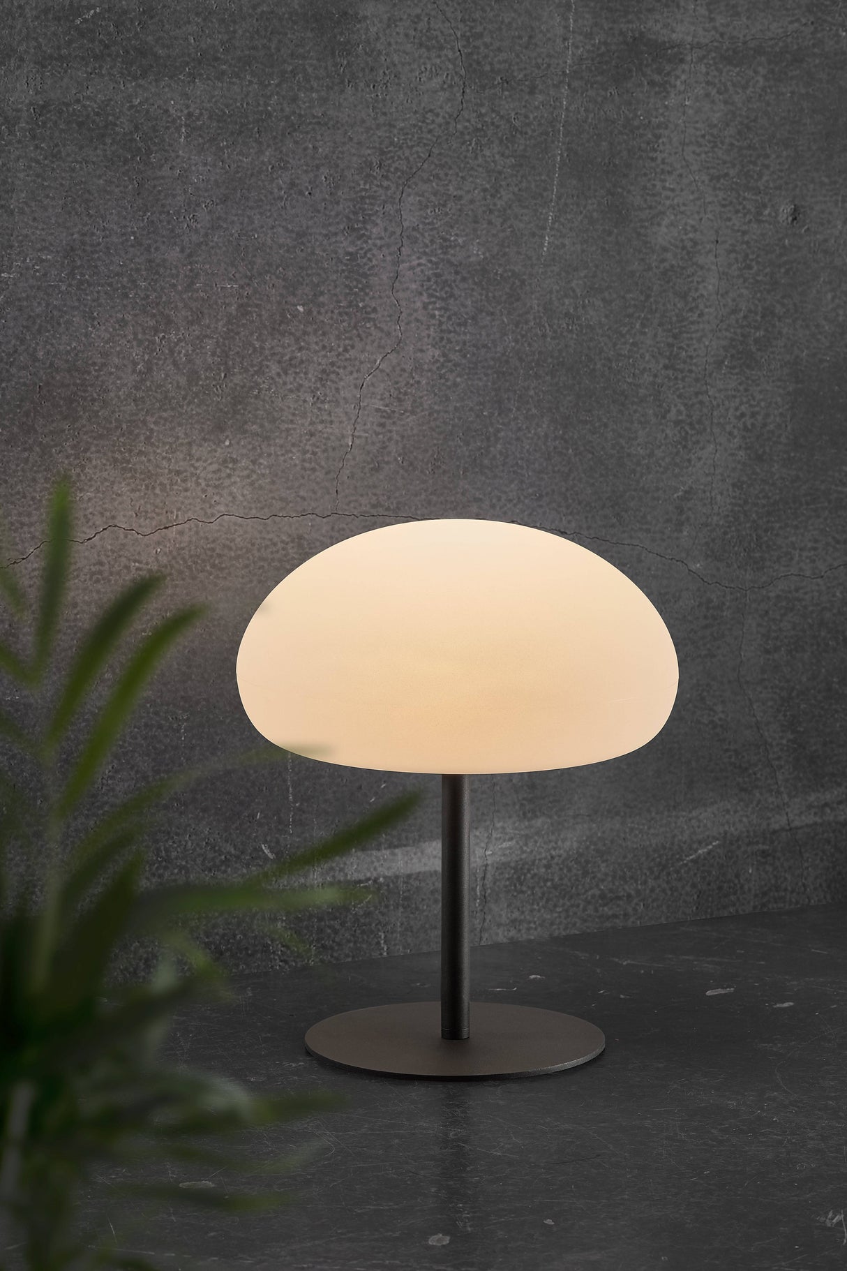 Sponge 34 | Battery light | White - Comet Lighting