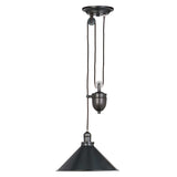 Provence 1 Light Rise and Fall Pendant - Old Bronze - Comet Lighting