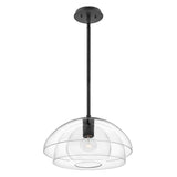 Quintiesse Lotus 1Lt Pendant / Semi-flush - Black - Comet Lighting