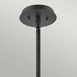 Quintiesse Lotus 1Lt Pendant / Semi-flush - Black - Comet Lighting