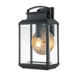 Byron 1 Light Large Wall Lantern Graphite with Pewter Reflector