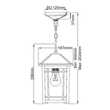 Cedar Point 1 Light Chain Lantern - Comet Lighting