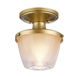 Dublin 1 Light Semi-Flush Mount - Painted Natural Brass