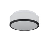 Searchlight Cheese 2LT Flush - Black| White Glass Shade| IP44| 23cm - Comet Lighting