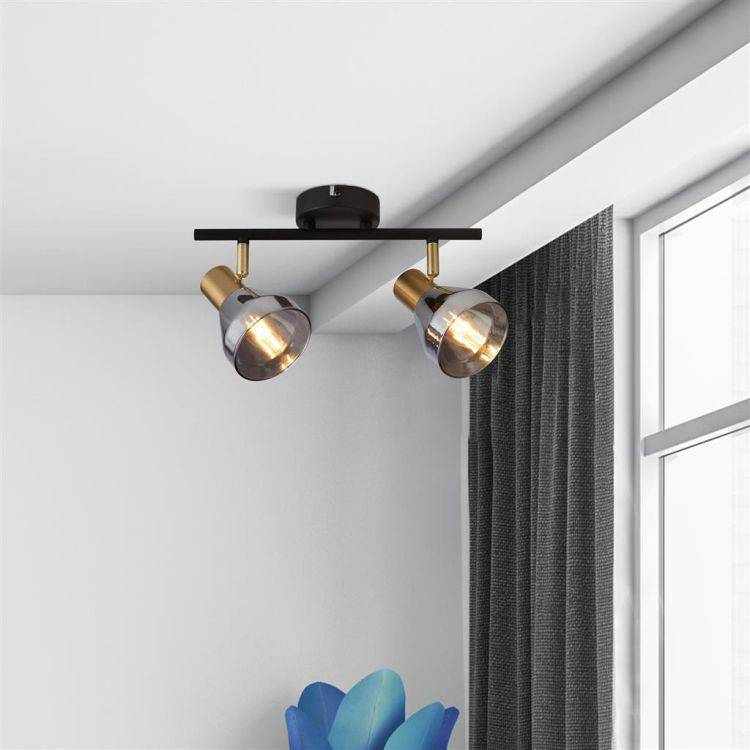 Westminster 2Lt Spotlight - Black|Satin Brass & Smoked Glass - Comet Lighting