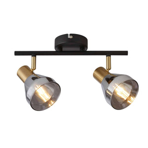 Westminster 2Lt Spot - Black, Satin Brass Metal & Smoked - Comet Lighting